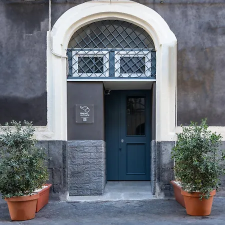 Elephant And Castle - Exclusive Catania